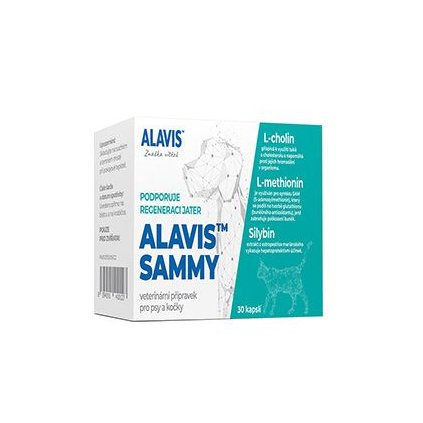 130a5855c2320c3feb8925baabae7e64