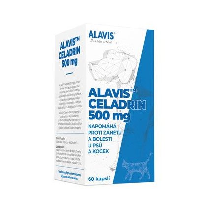 d240a4326726b2ffcf4203aa54d3fc97