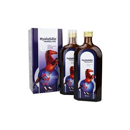 Hyalutidin Mobility HCC 2x500ml