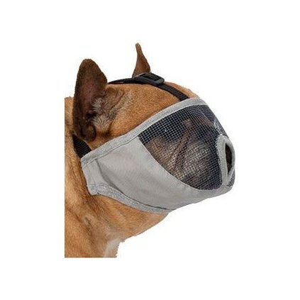 3dd08a08836c37b312bce0ccda010438