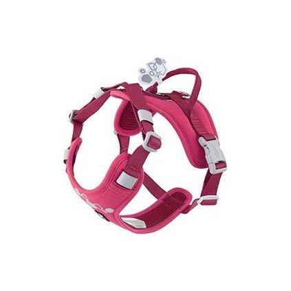 21c8cce4ec3932db65d3da3484a7c56d