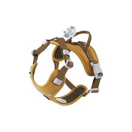 3716adb8bbd4b80b63c1d889307fe7a2