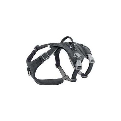 66d1d313cf41b4f62b04f86c069558f3