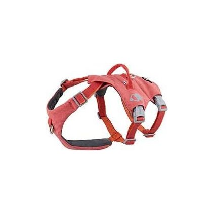 c382c07befc3ea1696ac68453b4fb1db