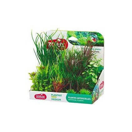 d2eb9645509c29cf22886dd4c20af522