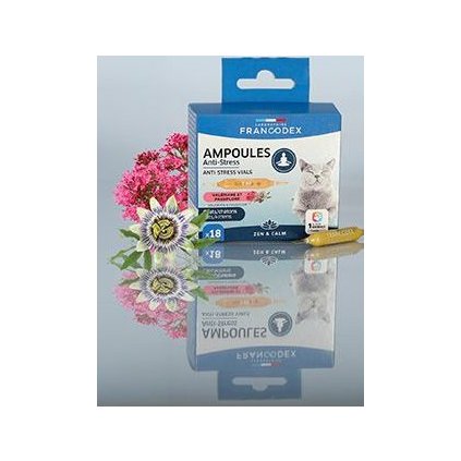 2cbde01f8bd6dbe8ce9a769a0b96beca