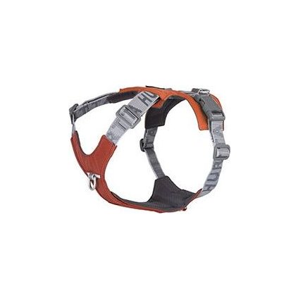 269fac8f423bb9abb96116a3c88d59a5