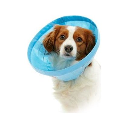 3f72ae769f0b6c0527b31672d909a9b2