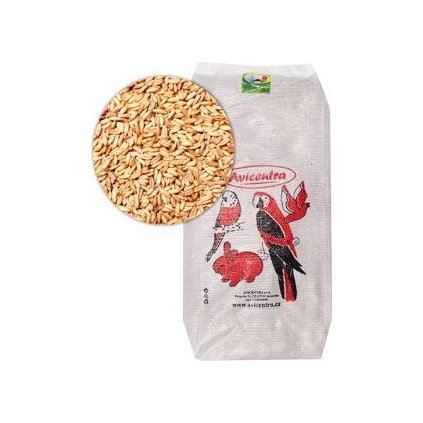 a4af61bdf22380563a863dace0e9522c