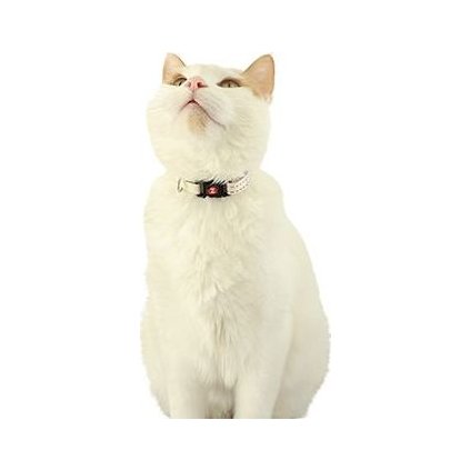 2d16e8290e210f1486a45be454bfab59