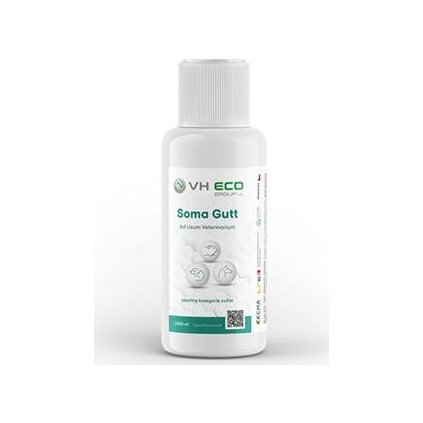 742f3c405162c3f3663cb2def760ab2e