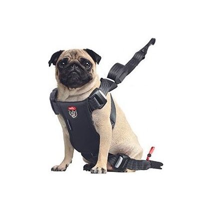 e58bf981e8e5617223d856e01236694a