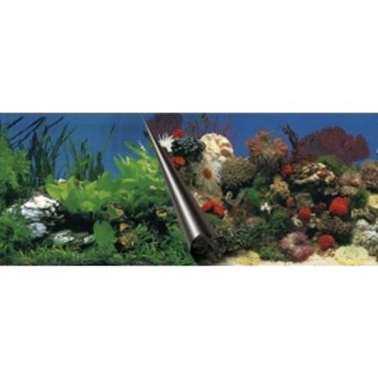Pozadí akvarijní Stone+Coral EBI 60 x 30 cm