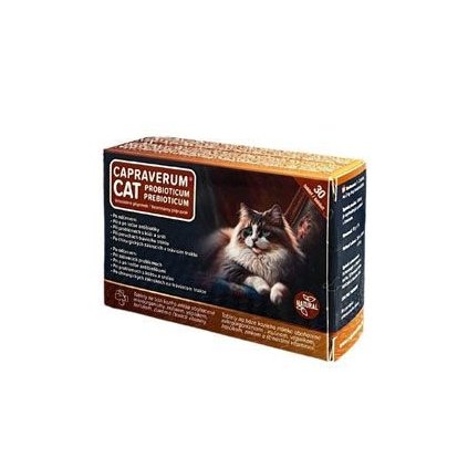 43e6d50b2084b3167b6d971476dc2af5