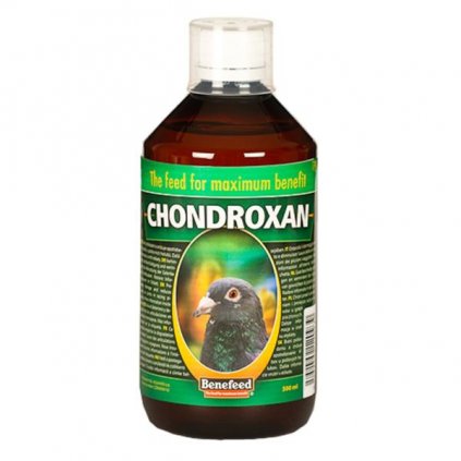 Chondroxan holubi sol 500 ml