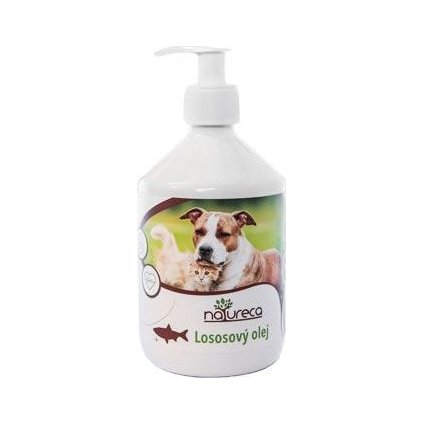 91ded5b5469cb521d398f05e335249d1