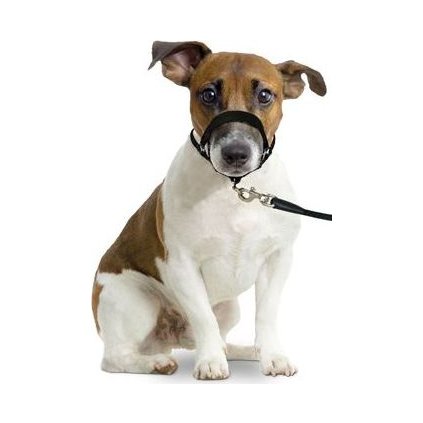 97a25e941cadf5ff2345d78e22cf06a8