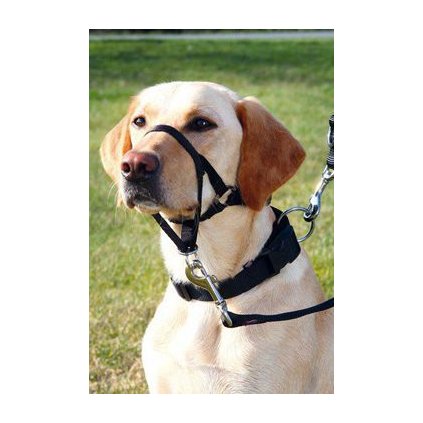 517efaf86468760e57de3b51a303763c