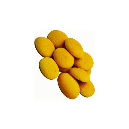 1d6f0f183a58bb9309a8a040f6c28e3e