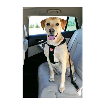 d9cda84ee4b8ce49ee935cad6ac70202