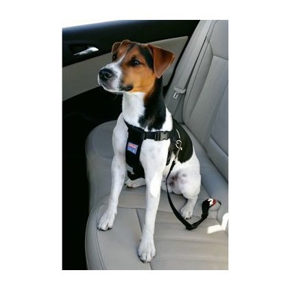 0a5de7d85e9db7280a876ffd1c379eab