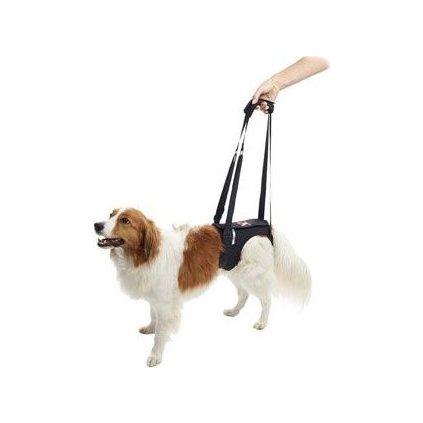 398f8d3b13f184f0a5b26b15ed940848