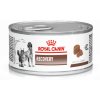 veterinary diet recovery feline canine can