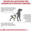 VHN DOG URINARY S/O 7,5kg