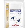 Veterinary Diet Rehydratation Instant Dog/Cat 15x-0.029Kg