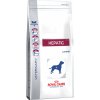 VD DOG HEPATIC 12 kg