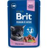 Brit Premium Cat kapsa White Fish for Kitten 100g