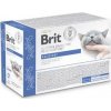 Brit VD Cat Pouch fillets in Gravy Recovery 12x85g