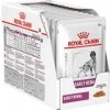 Royal Canin VD Canine Early Renal 12x100g kapsa