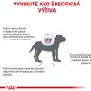 vhn hypoallergenic puppy 5