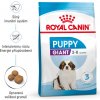 SHN GIANT PUPPY 1 kg