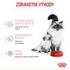 mother babycat 24