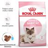 mother babycat 20