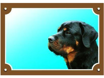 Barevná cedulka Pozor pes, Rottweiler