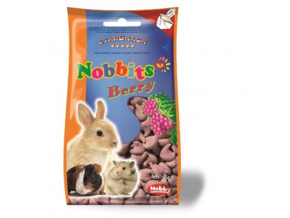 Nobby StarSnack Nobbits Berry pamlsky pro hlodavce plody 75g