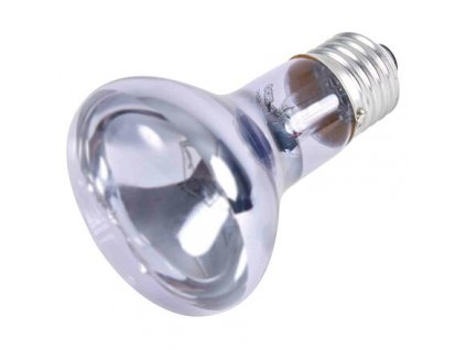 Neodymium Basking-Spot-Lamp 50 W (RP 2,10 Kč)