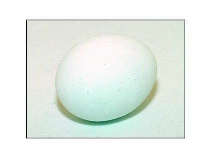 Vajíčko - podkladek [5]