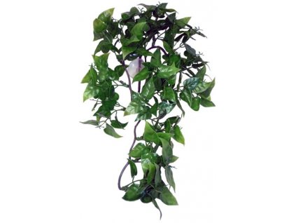 Dekorace umělá rostlina - popínavá Philodendron Komodo 30cm