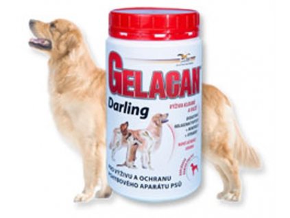 Gelacan plus Darling plv 500g