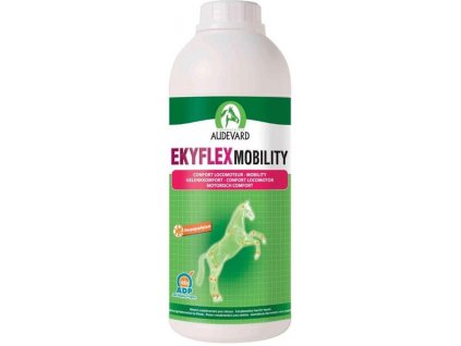 Ekyflex Mobility 1L
