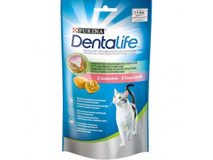 Purina DentaLife Cat salmon 40 g