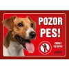 Cedulka plast JACK RUSSEL TERIÉR