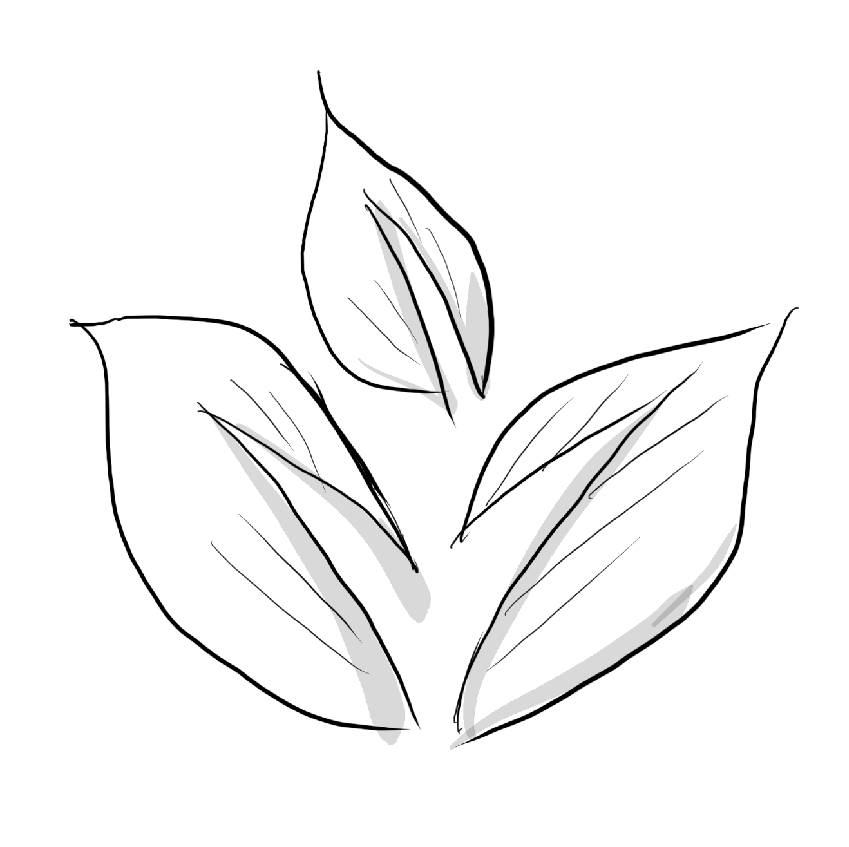 ověřené produkty