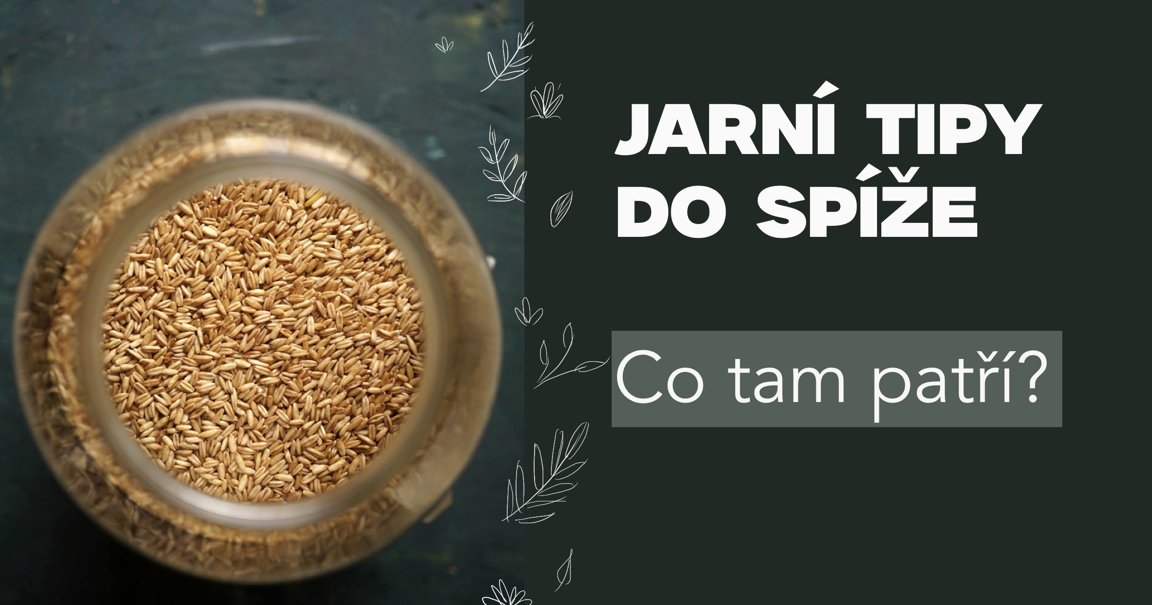 Tipy do jarní spíže
