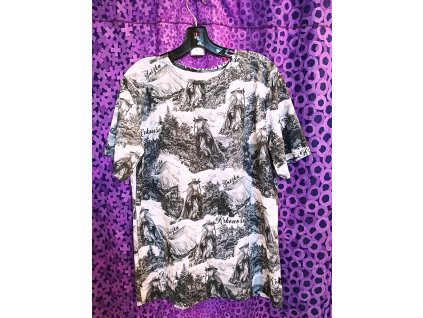 Pánské tričko Krkonoše