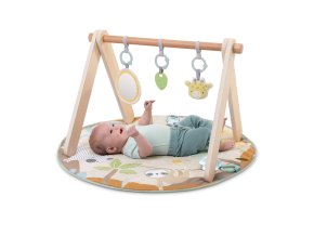 17448 ING PLAYGYM OW 27 (1)